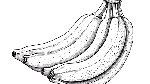 Monochrome Banana Bunch Drawing