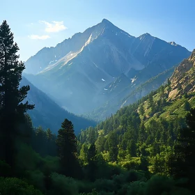 Lush Valley Under Mountain Peak