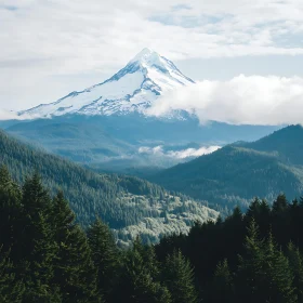 Mountain Peak Forest Vista