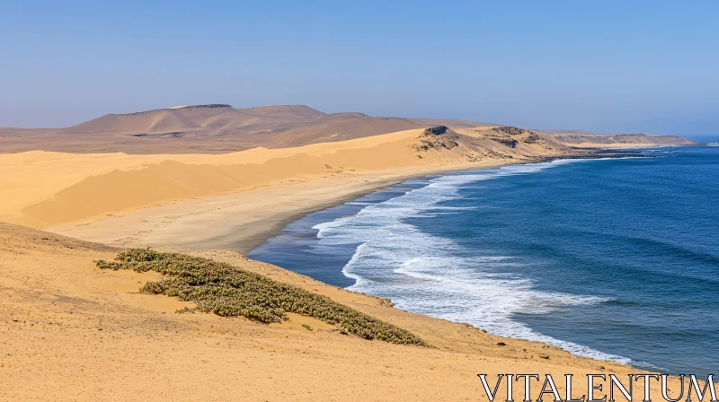 Sandy Coastline Landscape AI Image