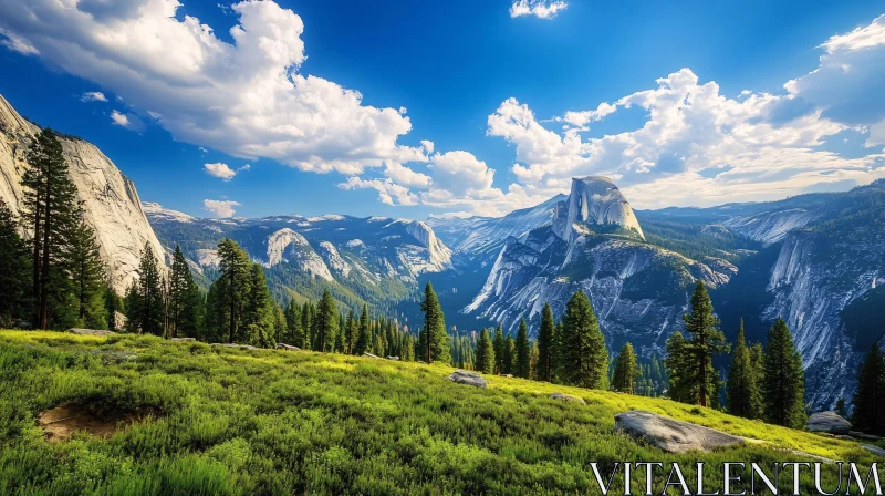 AI ART Picturesque Mountain Vista with Green Meadow