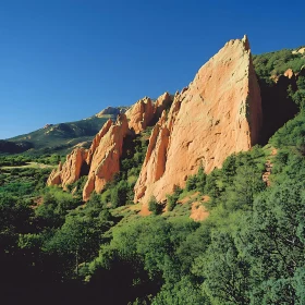 Landscape View of Mountain and Forest