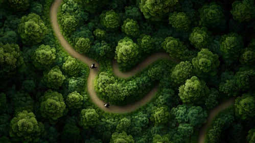 Cycling Through a Serpentine Forest Path