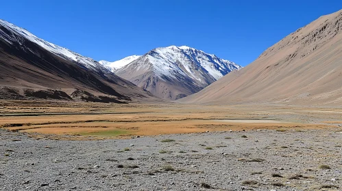 Majestic Mountain Valley View