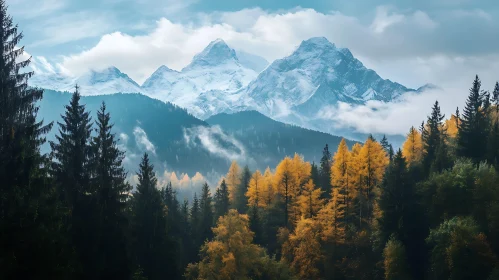 Snowy Peaks and Golden Forest Landscape