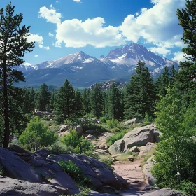 Scenic Mountain and Forest View