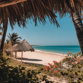 Secluded Beach with Palm Trees and Clear Waters