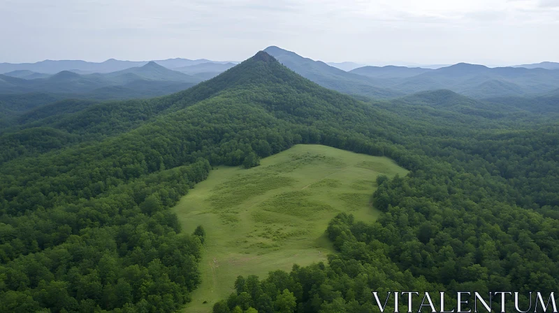 AI ART Lush Mountain Landscape Aerial View