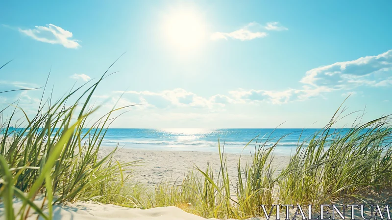 Peaceful Beach Scene on a Sunny Day AI Image