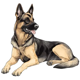 Detailed German Shepherd Illustration