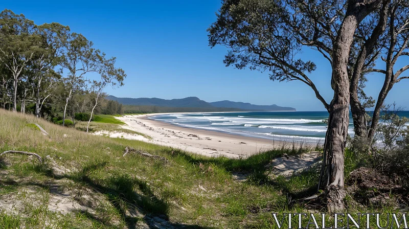 Coastal Beach View AI Image