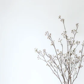 Delicate Botanical Branches on Pristine White Canvas