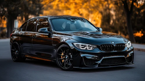 Modern Black Luxury Sedan in Autumn Setting