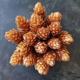 Close-Up of Brown Pine Cones Showing Detailed Texture