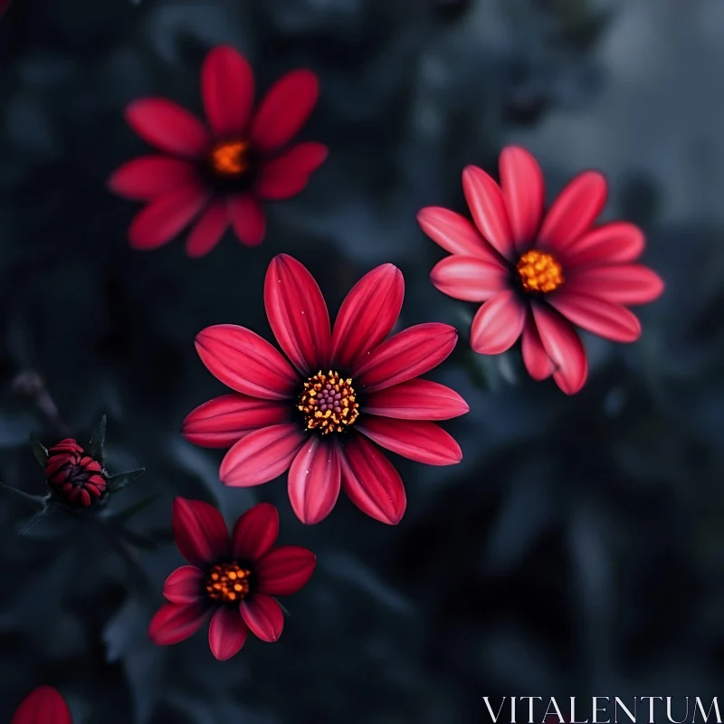 Detailed View of Red Blooming Flowers AI Image