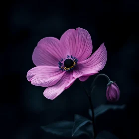 Macro Photography of a Gorgeous Purple Flower in Bloom