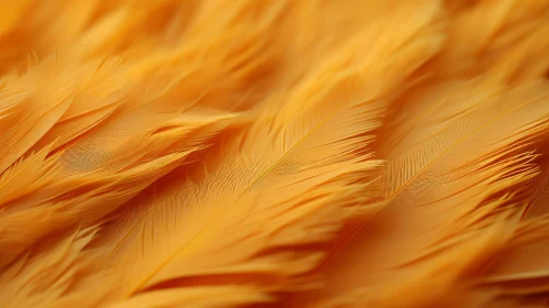 Close-Up Orange Feather Photobashing - Nature-Inspired Artwork