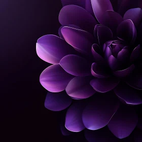 Purple Flower Close-up