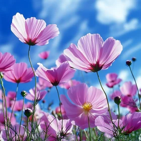 Pink Flowers Blooming in a Serene Meadow