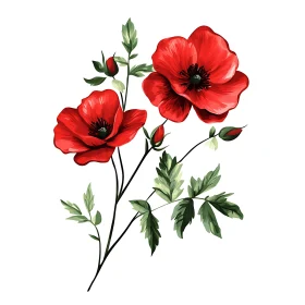 Botanical Artwork of Blooming Red Poppies