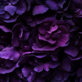 Intricate Deep Purple Floral Petals Close-Up