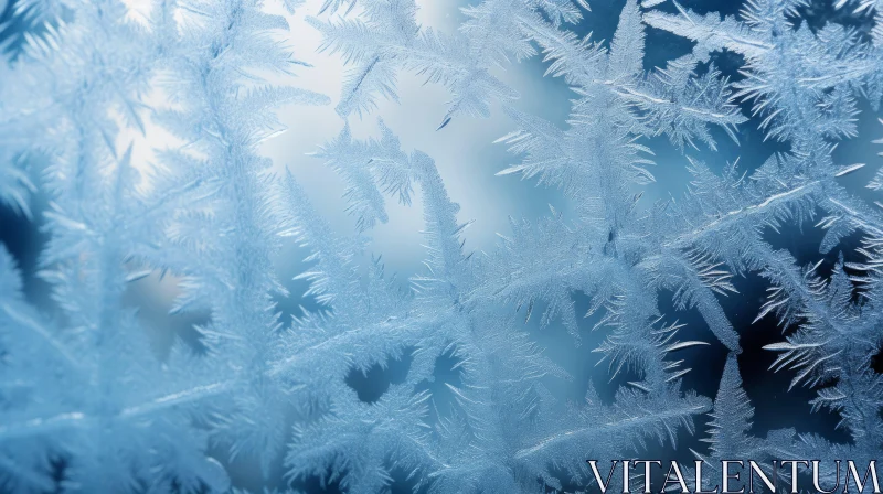 Winter Frost on Glass Matte Photo AI Image