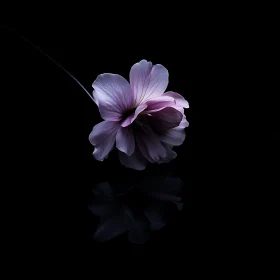 Artistic Isolated Purple Flower