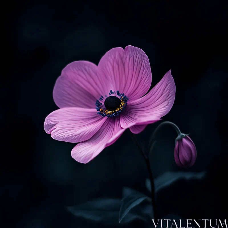 Macro Photography of a Gorgeous Purple Flower in Bloom AI Image