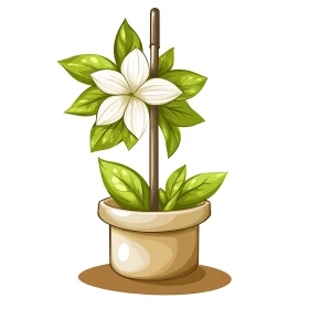 Decorative Potted Plant Illustration