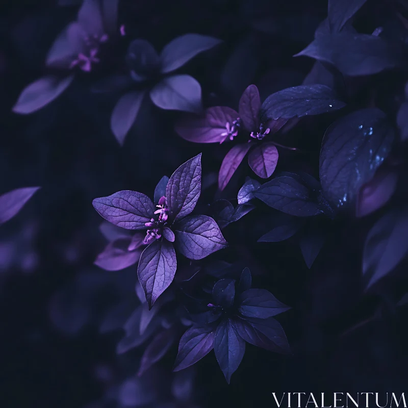 Serene Purple Blooms in Dark Leaves AI Image