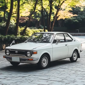 Retro White Car Parked in Lush Greenery