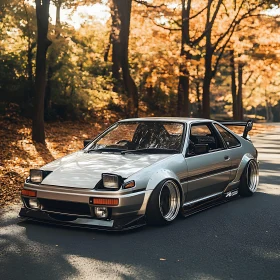 Classic Car in Autumn Forest
