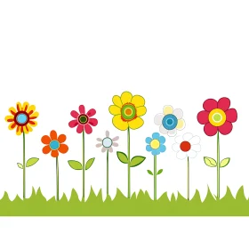 Colorful Flowers in a Row Against White Background