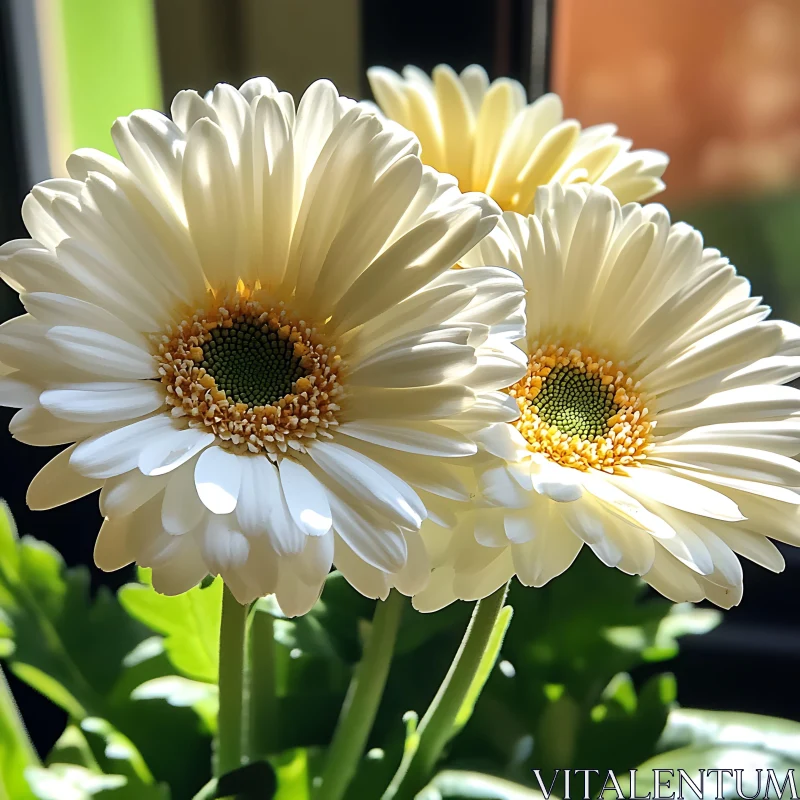 AI ART Sunlit White Daisies in Close Detail