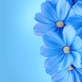 Stunning Blue Flowers in Full Bloom