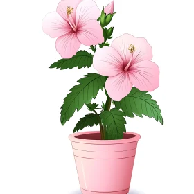 Blooming Pink Hibiscus in Pot