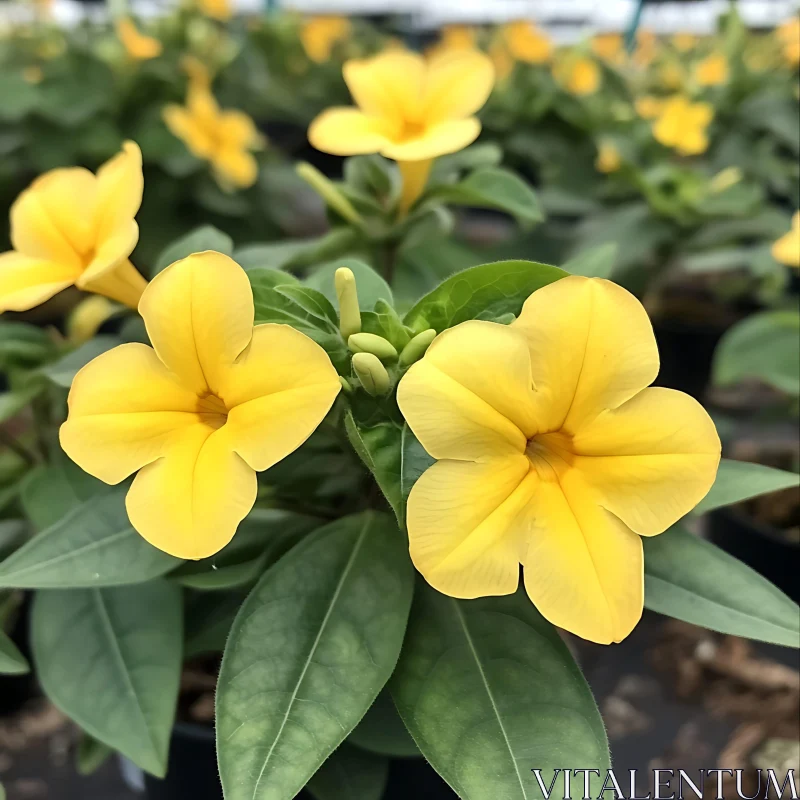 Bright Yellow Blossoms with Lush Greenery AI Image