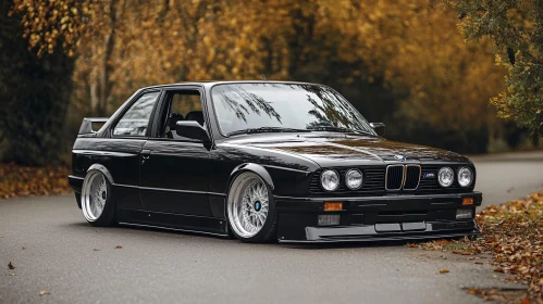 Black BMW Vehicle Amidst Golden Autumn Trees