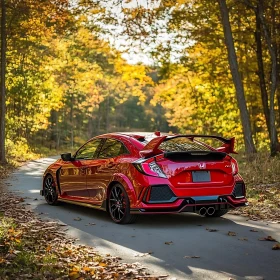 Sleek Red Car in Autumnal Forest