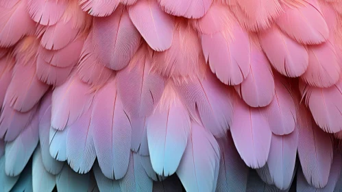 Close-up of Pink and Blue Flamingo Feathers Artwork