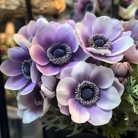 Stunning Close-Up of Purple Anemone Flowers