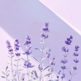 Serene Lavender Blossoms with Pastel Background