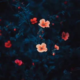 Night Garden with Vibrant Red Flowers