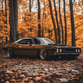 Vintage Car Amidst Fall Leaves