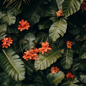 Tropical Orange Flowers and Green Leaves