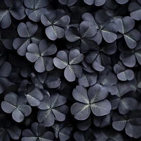 Dense Cluster of Heart-Shaped Clover Leaves