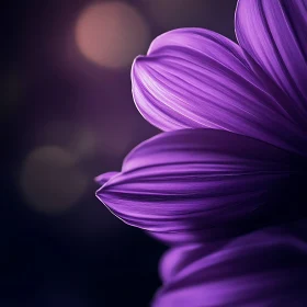 Serene Purple Flower with Soft Bokeh Background