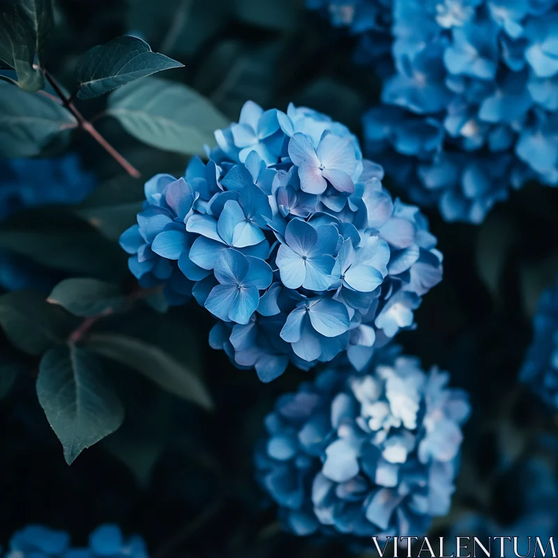 Captivating Blue Hydrangea Blossom AI Image