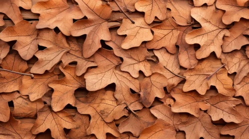 Textured Oak Leaves - Eco-friendly Craftsmanship