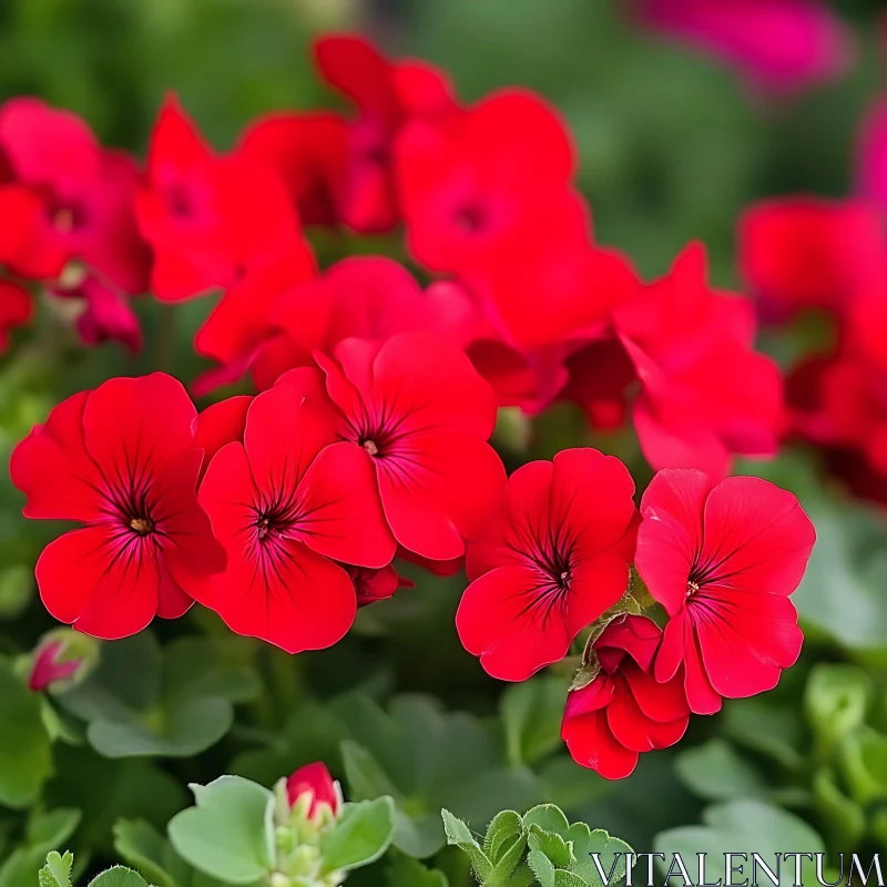 AI ART Vivid Red Blooms in a Garden Setting